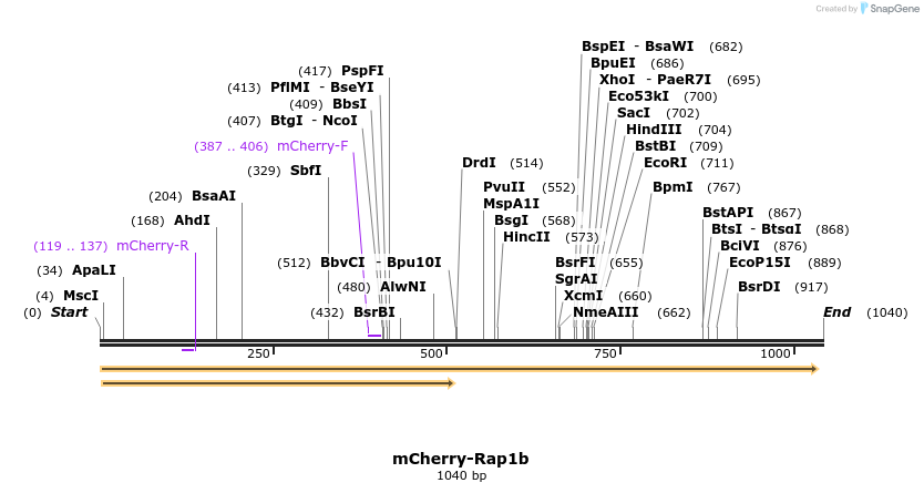 223449_map