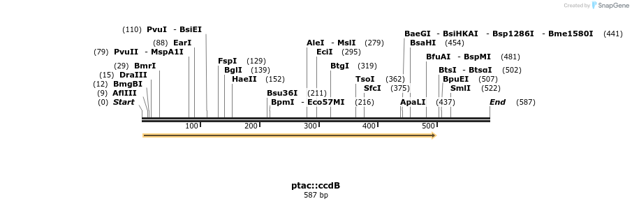 22345_map