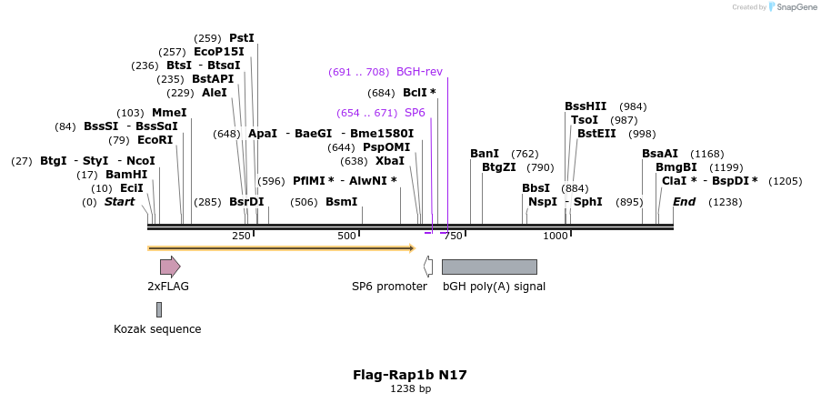 223452_map