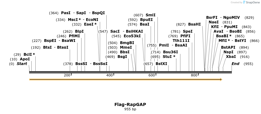 223455_map