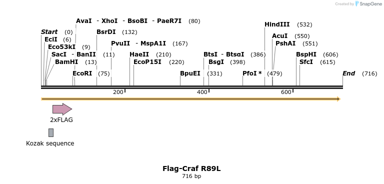 223463_map