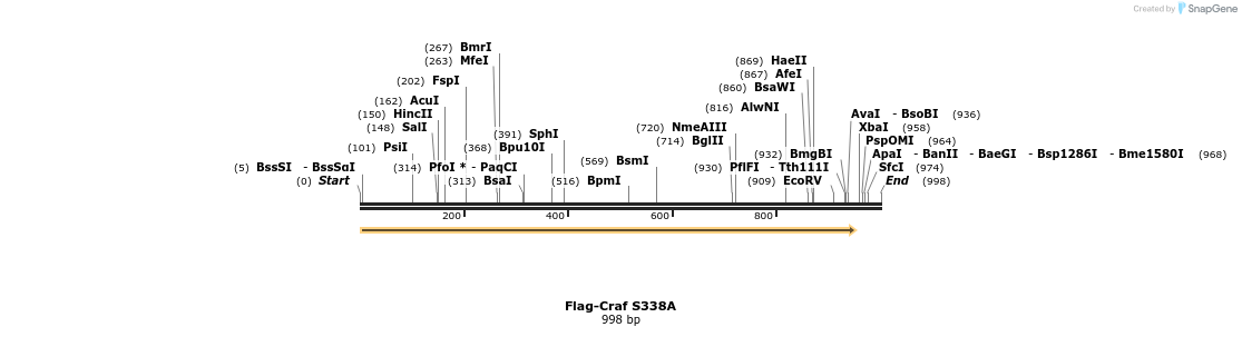 223465_map