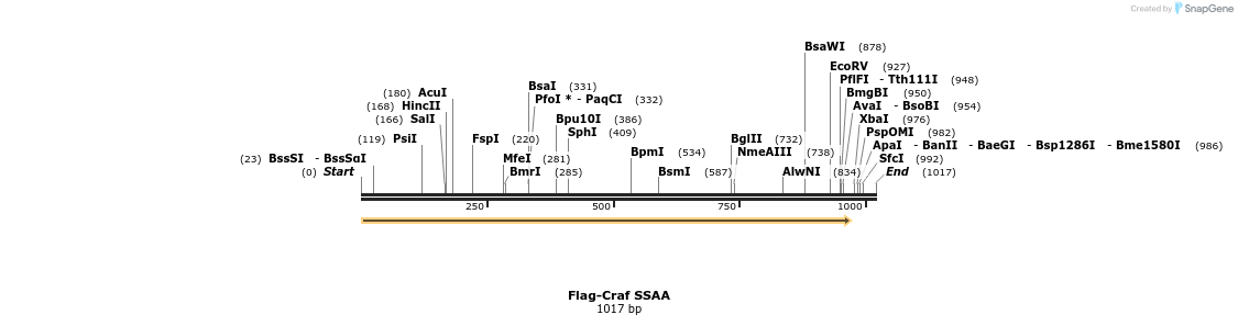 223466_map