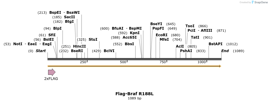 223467_map