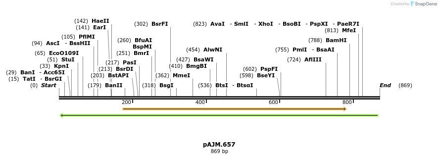 223470_map