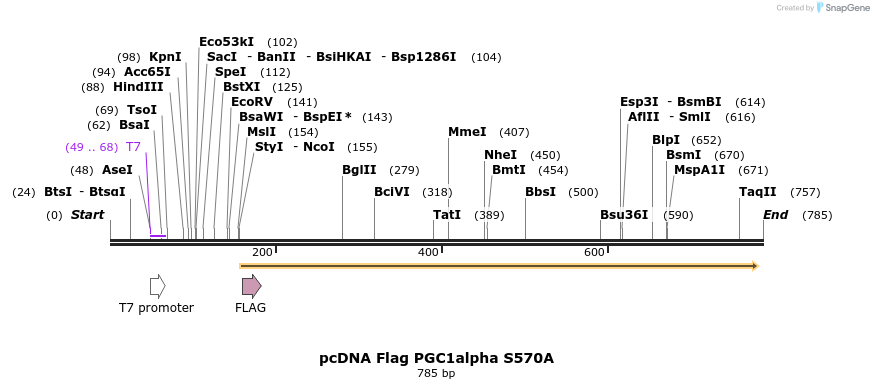 22350_map