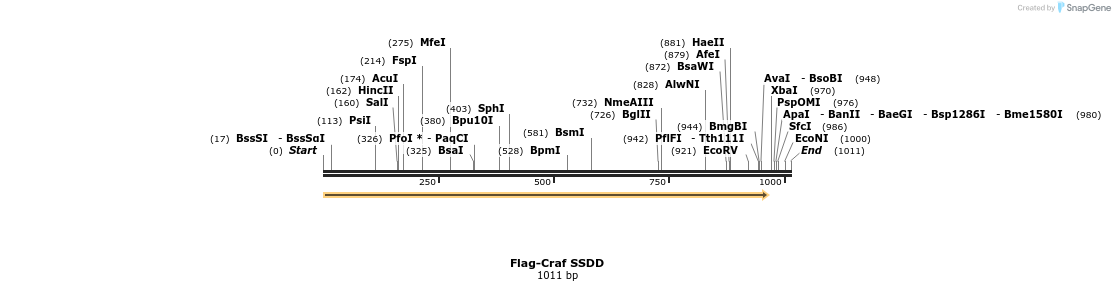 223509_map