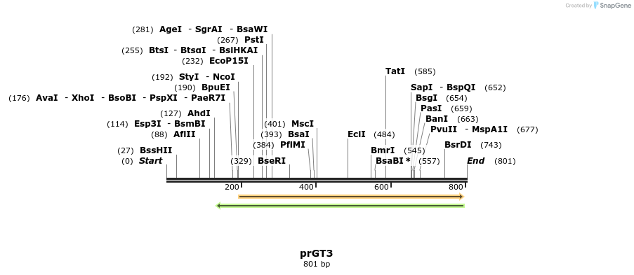 22355_map