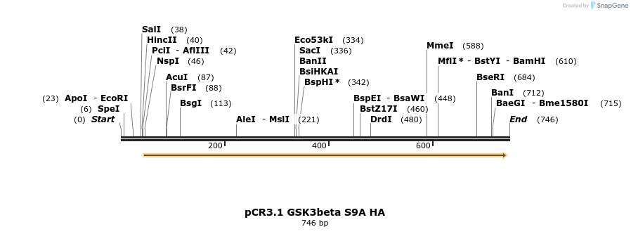 22356_map