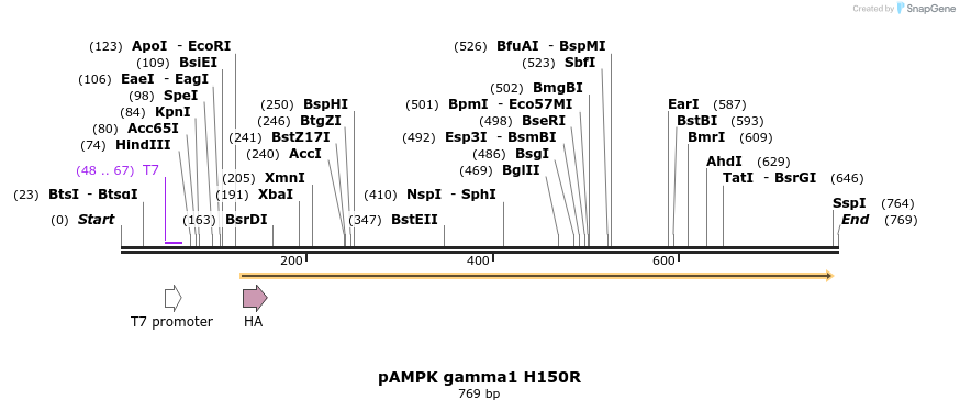 22359_map
