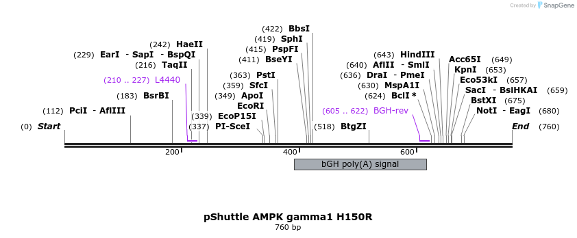 22362_map