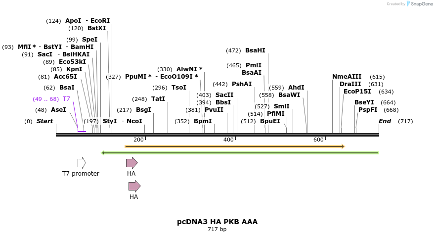 22364_map
