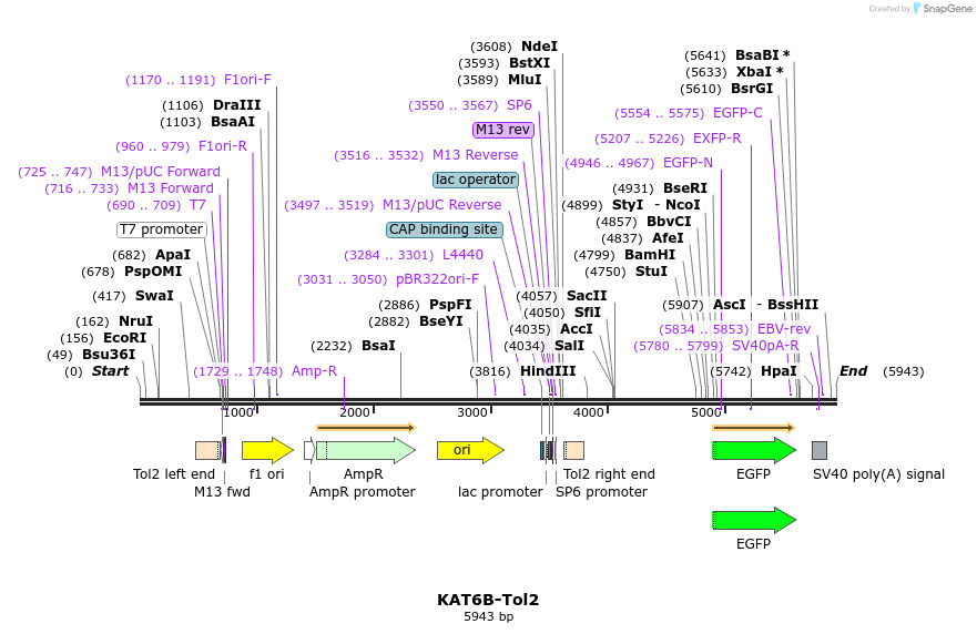 223663_map