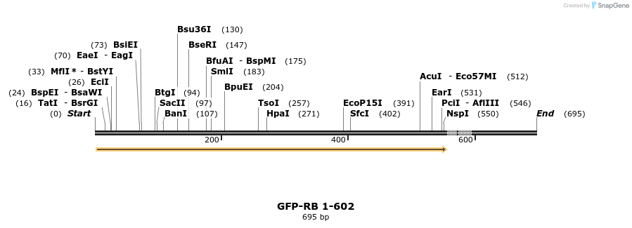 22369_map
