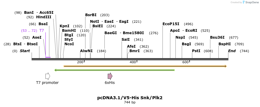 22381_map