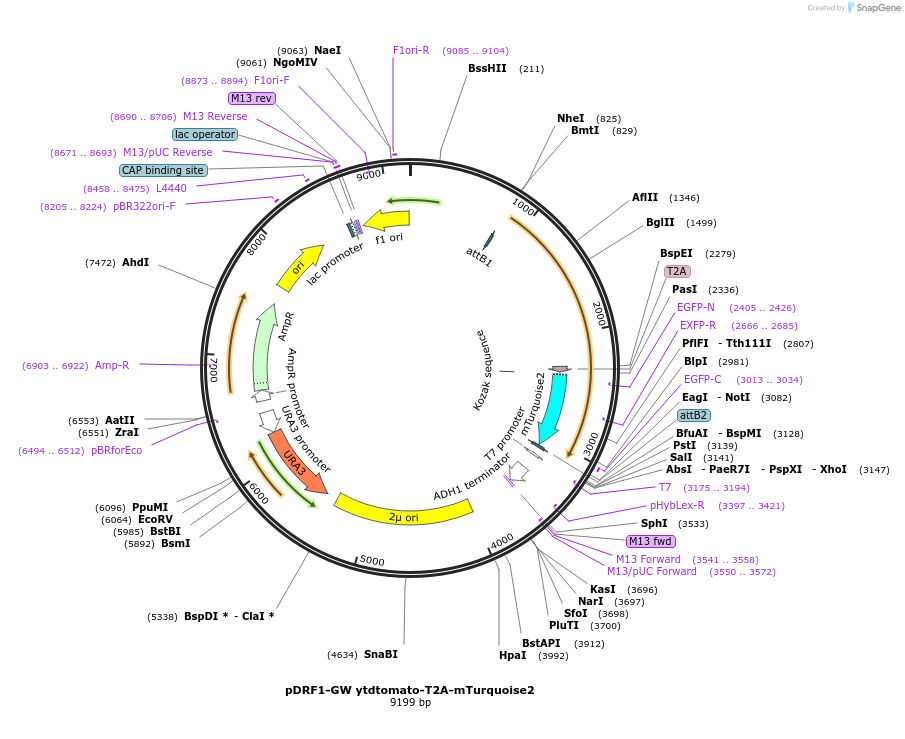 223814_map