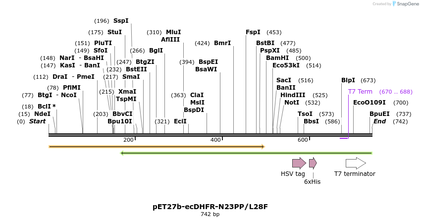 223959_map