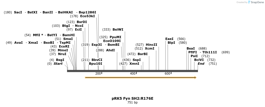 22397_map