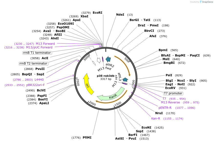 223985_map