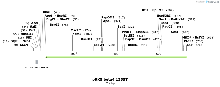 22401_map