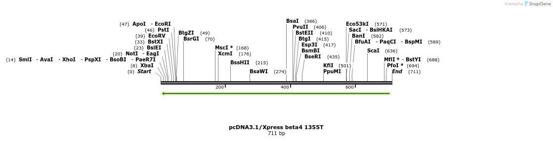 22402_map