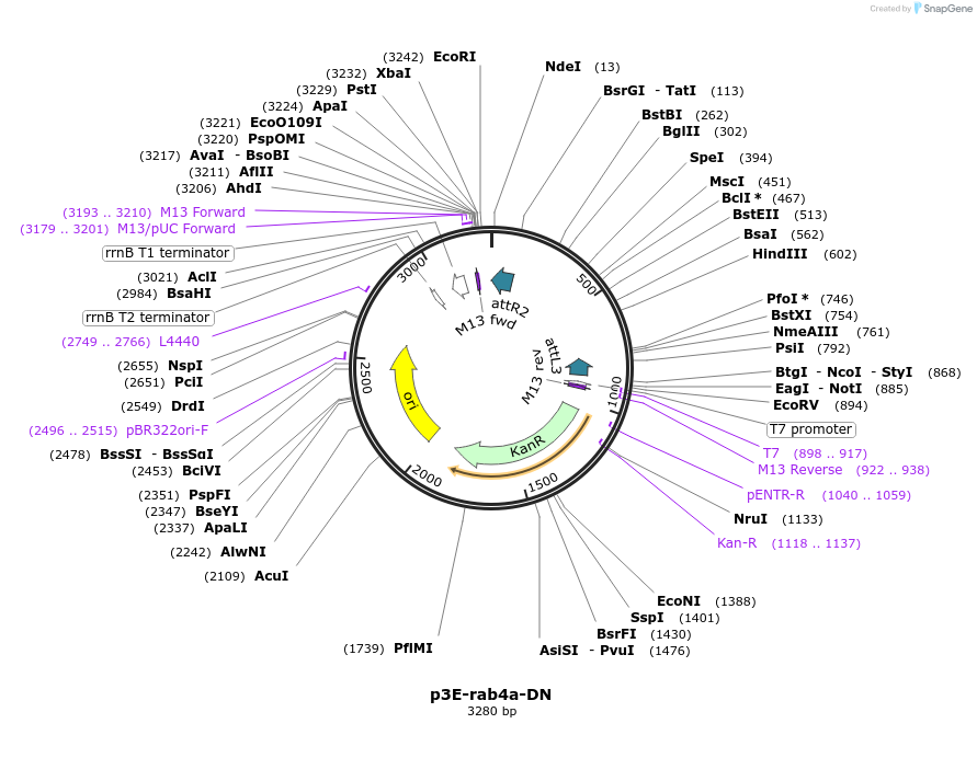 224065_map