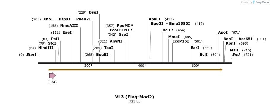 22409_map
