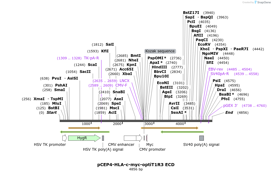 224100_map