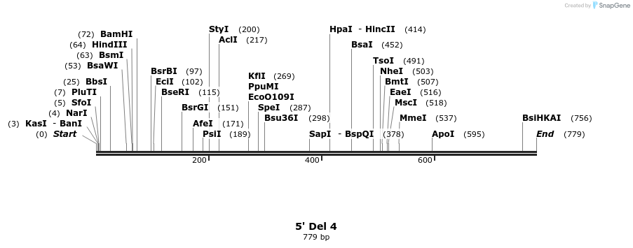 22416_map