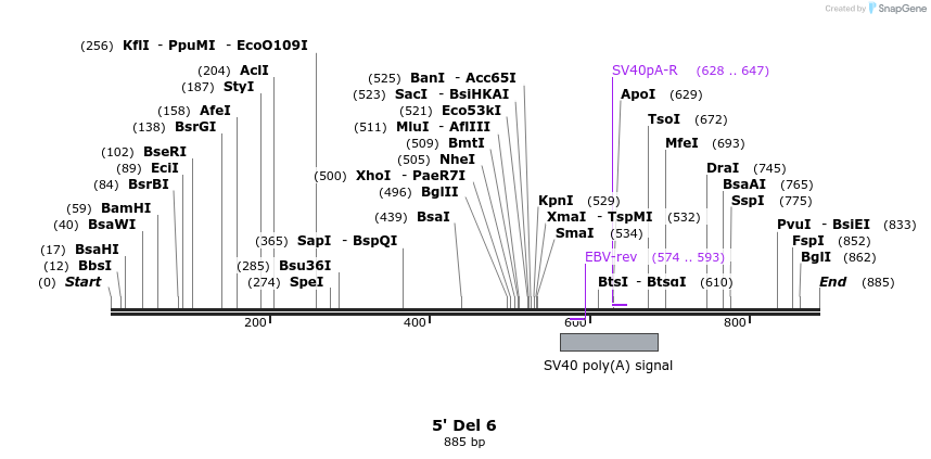 22417_map