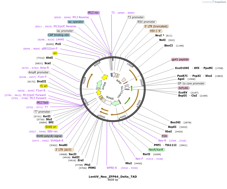 224178_map