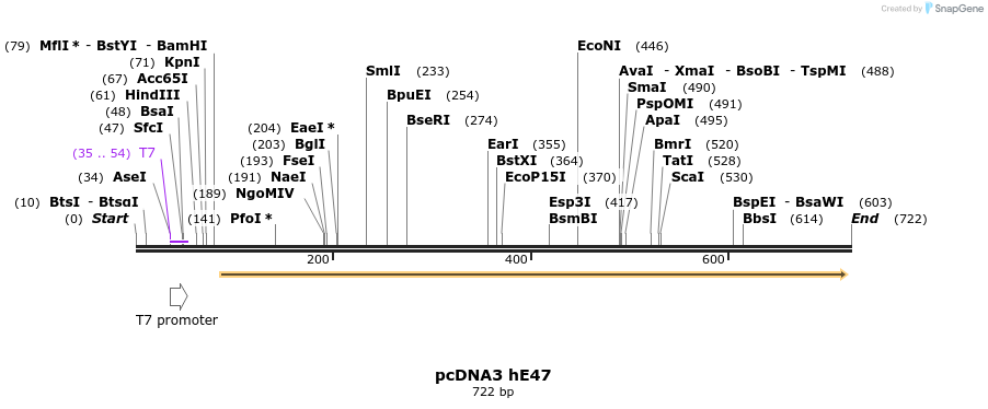22419_map