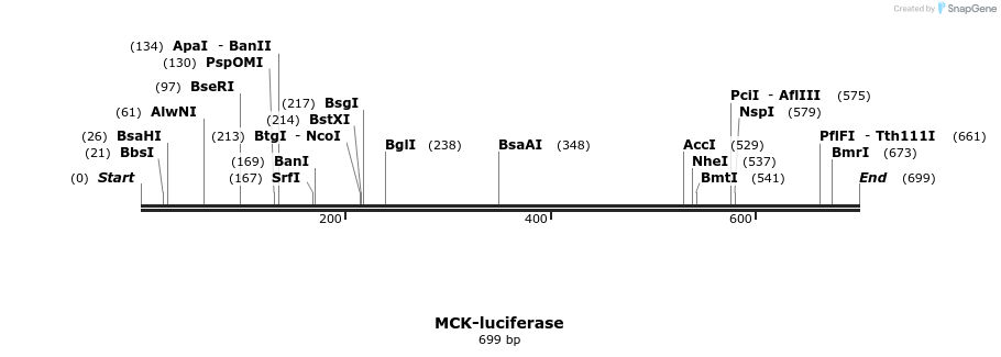 22422_map