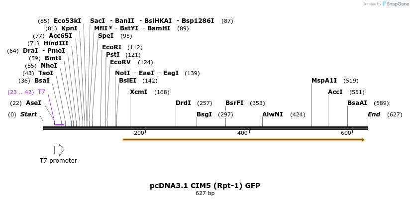 22425_map