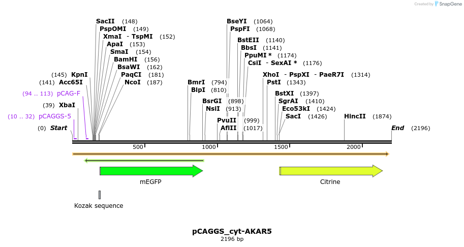 224362_map