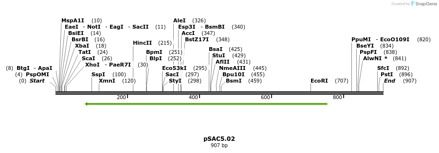 22439_map