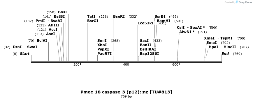 22443_map