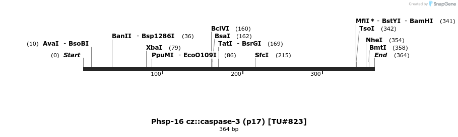 22447_map