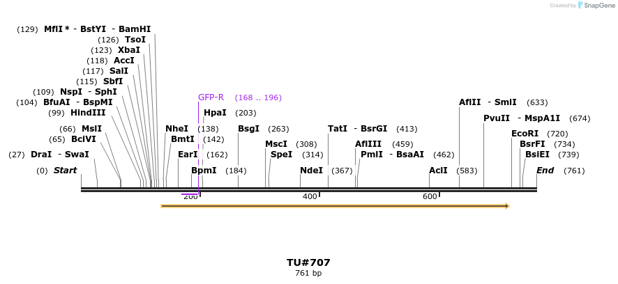 22449_map
