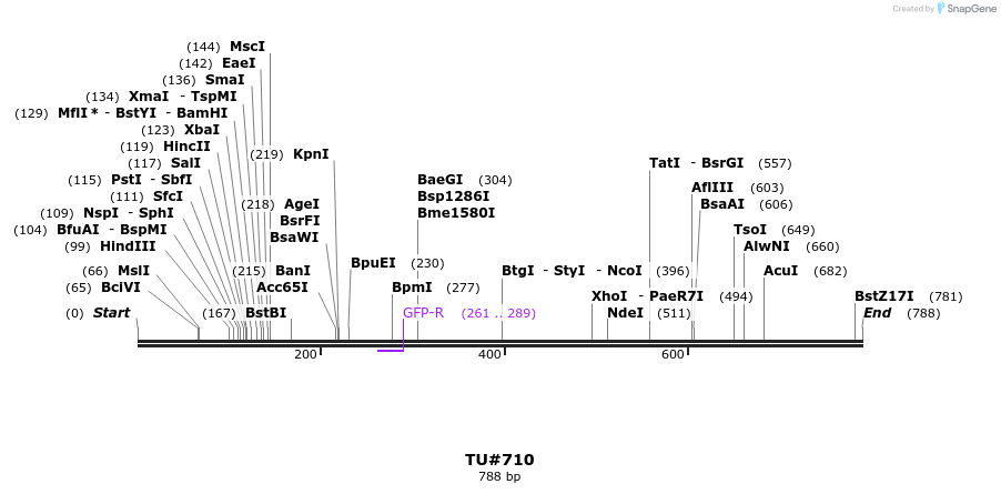 22451_map