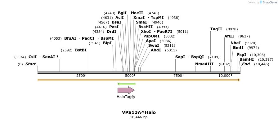 224517_map