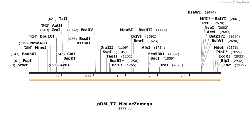 224522_map