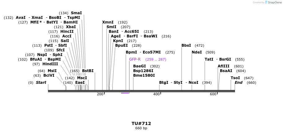 22453_map