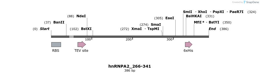 224538_map