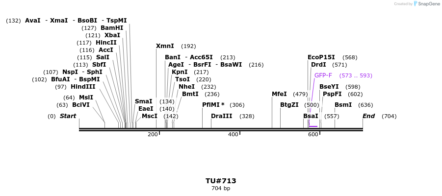22454_map