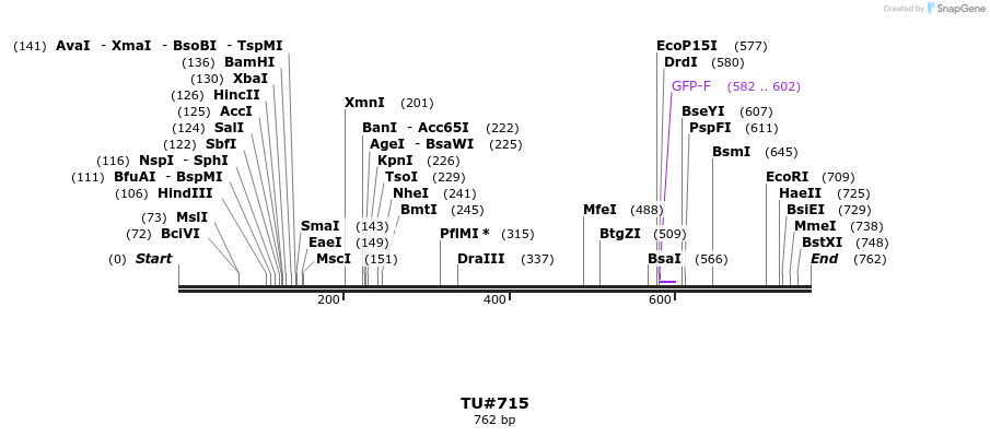 22456_map
