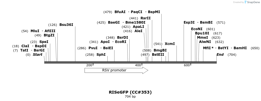 22457_map