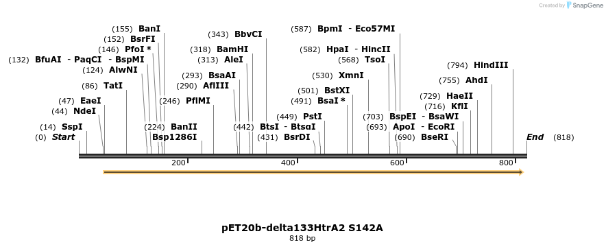 22459_map