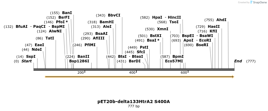 22461_map