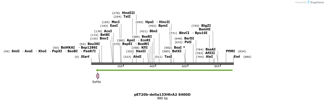 22462_map